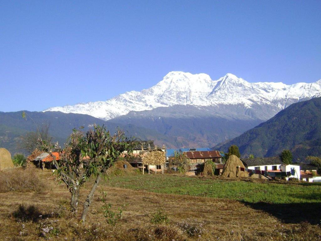 Mystique Highland Resort Pokhara Exterior photo