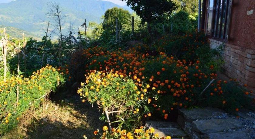 Mystique Highland Resort Pokhara Exterior photo